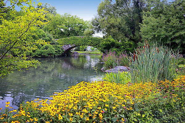 New York Photograph - The Bridge by Craig Gordon