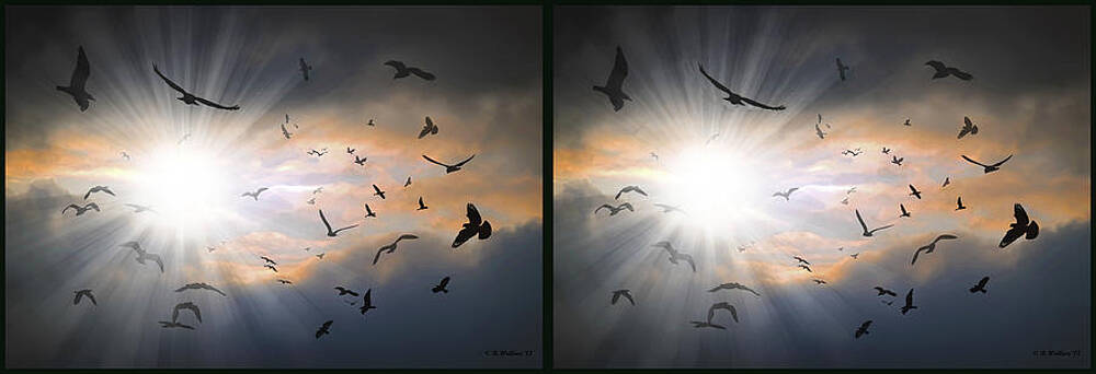 Wall Art - Photograph - The Call - The Caw - Gently cross your eyes and focus on the middle image by Brian Wallace