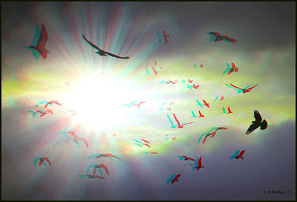 Wall Art - Photograph - The Call - The Caw - Use Red/Cyan filtered 3D glasses for viewing by Brian Wallace