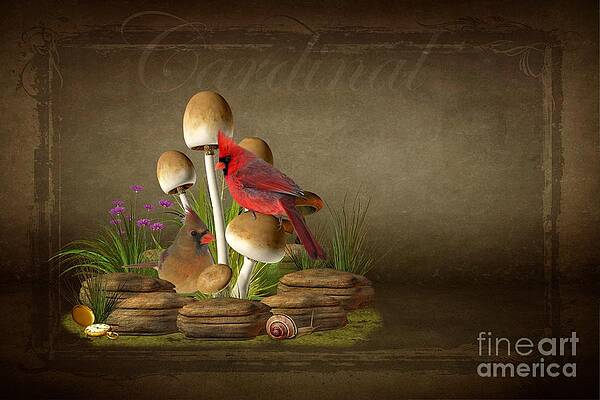 The Cardinal by Davandra Cribbie The Cardinal by Davandra Cribbie