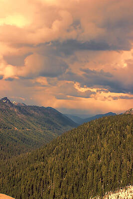 Wall Art - Photograph - The Cascade Mountain Range by Cathy Anderson