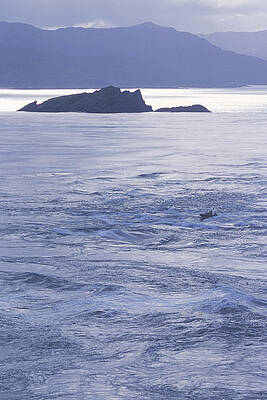 Wall Art - Photograph - The Churning Waters by Peter McBride