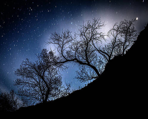 Wall Art - Photograph - The Cloudy Way by Ricardo Liberato