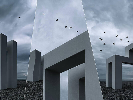Wall Art - Photograph - The Crows by Luc Vangindertael (lagrange)