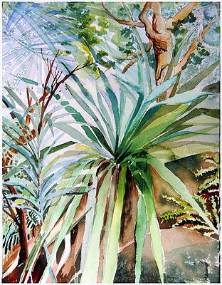 The Desert Cactus by Mindy Newman The Desert Cactus by Mindy Newman