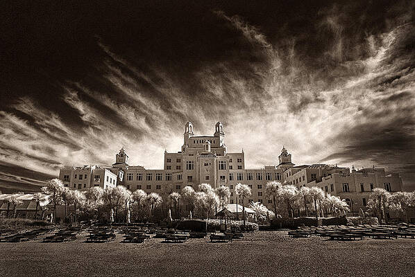 The Don Cesar by Steve White The Don Cesar by Steve White