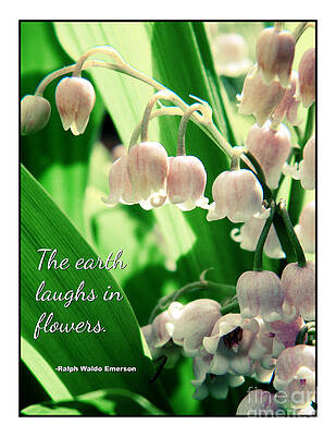 Lily Of The Valley Art (Page #9 of 16) | Fine Art America