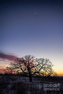 Wall Art - Photograph - The Edge Of Space by Dan Hefle