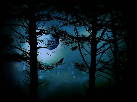 Wall Art - Photograph - The Edge of Twilight  by Micki Findlay