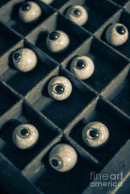 Wall Art - Photograph - The Eyes Have It by Edward Fielding