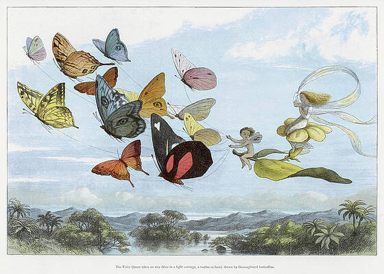 Wall Art - Drawing - The Fairy Queen Takes An Airy  Drive by Mary Evans Picture Library