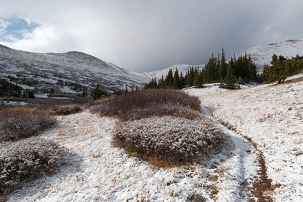 Wall Art - Photograph - The First Snowfall by Cascade Colors
