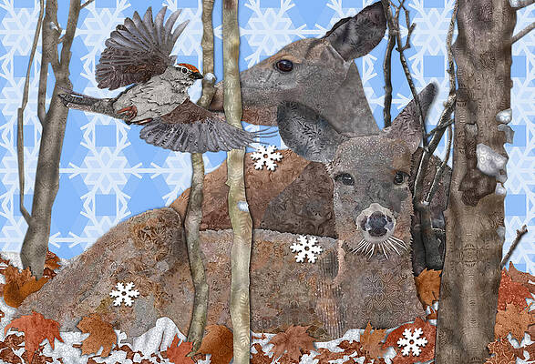 The First Snowfall by Robin Morgan The First Snowfall by Robin Morgan