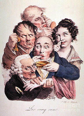 Wall Art - Photograph - The Five Senses by Science Source