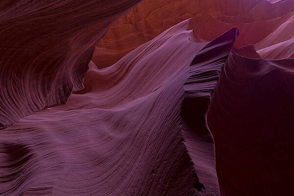 Wall Art - Photograph - The flow by Jonathan Davison