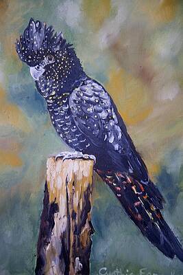The Forest Red-Tailed Black Cockatoo by Cynthia Farr
