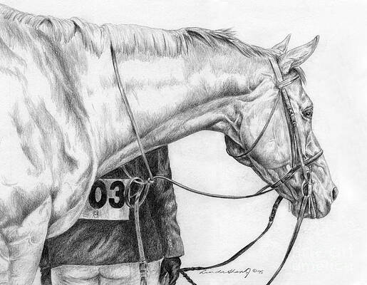 The Front of the Line by Linda Shantz The Front of the Line by Linda Shantz