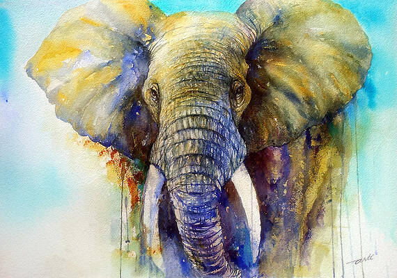 The Gentle Giant by Arti Chauhan The Gentle Giant by Arti Chauhan