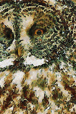 The Glaucus Owl by Leapdaybride The Glaucus Owl by Leapdaybride