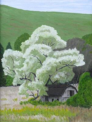 The Guardian by Barb Pennypacker The Guardian by Barb Pennypacker