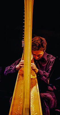 The Harp by Carl Cox The Harp by Carl Cox