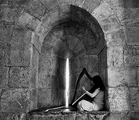 The Harp Player by Uri Baruch The Harp Player by Uri Baruch