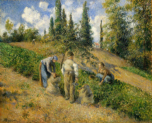 The Harvest. Pontoise Print by Camille Pissarro
