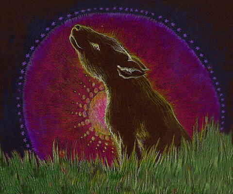 The Heart of an Animal by Lydia Erickson The Heart of an Animal by Lydia Erickson