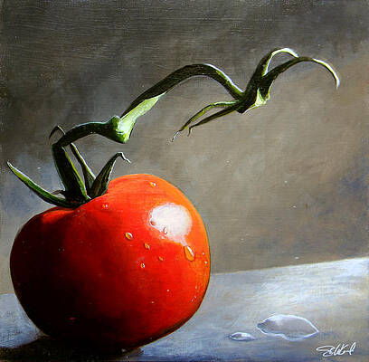 Wall Art - Painting - The Lone Tomato by Steve Goad