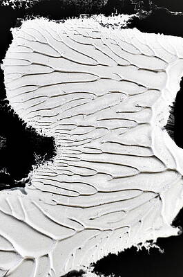 The Map by Christine Ricker Brandt The Map by Christine Ricker Brandt