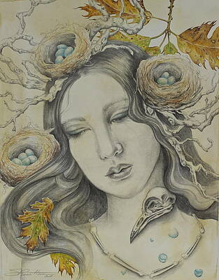 The Memory of Trees by Sheri Howe