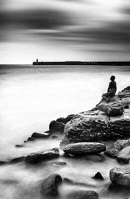 The Mermaid by Ian Hufton The Mermaid by Ian Hufton