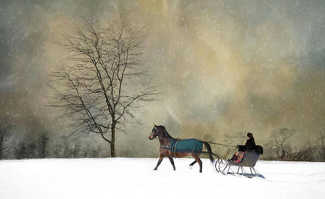 The Merry Trotter by Robin-Lee Vieira The Merry Trotter by Robin-Lee Vieira