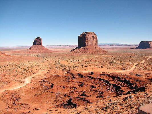 Wall Art featuring the photograph The Mittens Utah by Sue Leonard