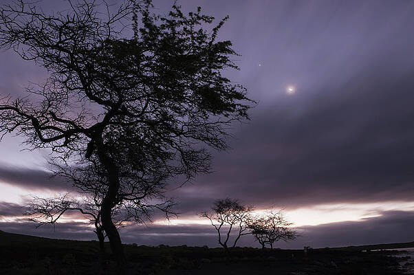 Wall Art - Photograph - The Moon Shines Through Clouds by Carl Johnson