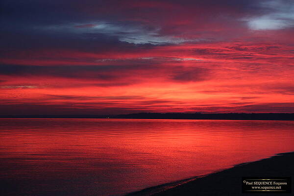 THE MORNING VIEW 1 by Y C THE MORNING VIEW 1 by Y C