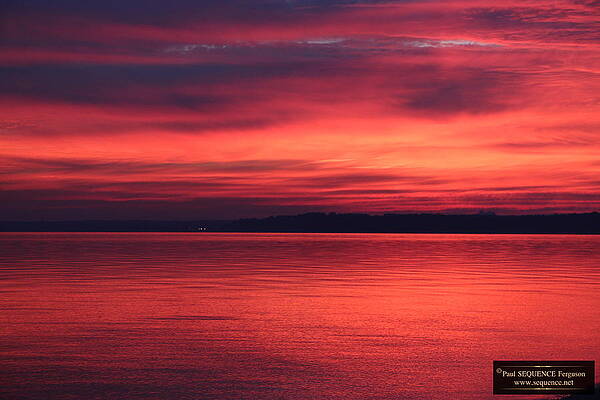 THE MORNING VIEW 2 by Y C THE MORNING VIEW 2 by Y C