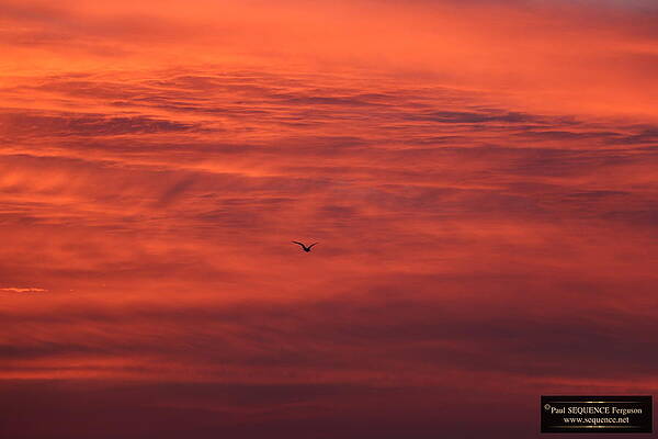 THE MORNING VIEW 4 by Y C THE MORNING VIEW 4 by Y C