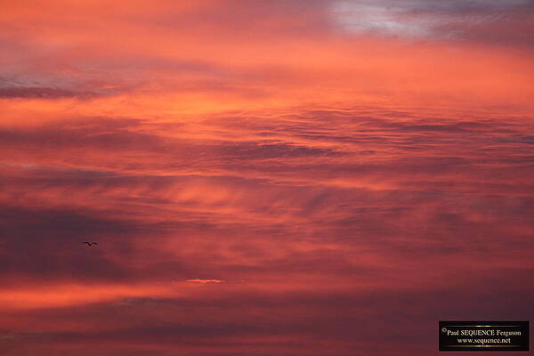 THE MORNING VIEW 5 by Y C THE MORNING VIEW 5 by Y C