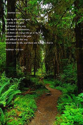 THE NARROW WAY by Jeff Swan THE NARROW WAY by Jeff Swan