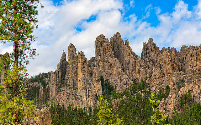 The Needles at Custer State Park by John M Bailey The Needles at Custer State Park by John M Bailey