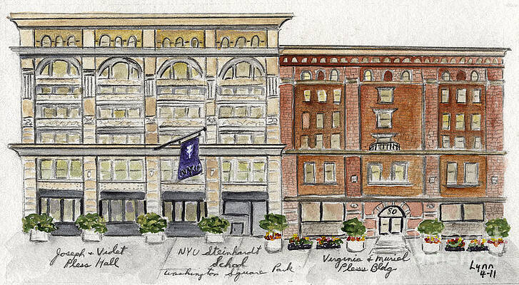The NYU Steinhardt Pless Building by AFineLyne The NYU Steinhardt Pless Building by AFineLyne