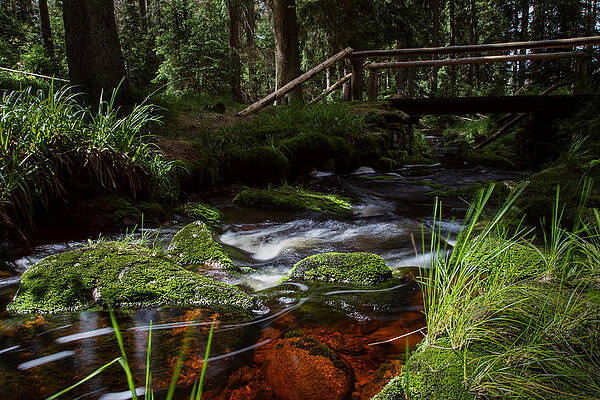 Wall Art - Photograph - the Oder in the Harz area  by Andreas Levi