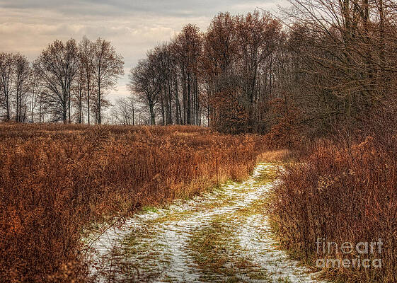 The Old Deer Path by Pamela Baker The Old Deer Path by Pamela Baker