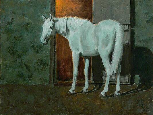 The Old Gray Mare by JOHN T JONES