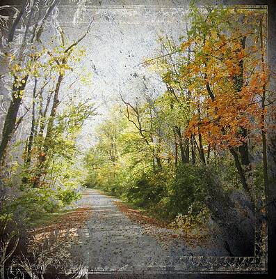 The Path Amongst The Trees by Carolyn Meuer-Pickering of Photopicks Photography and Art The Path Amongst The Trees by Carolyn Meuer-Pickering of Photopicks Photography and Art