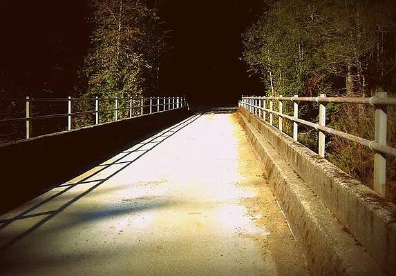 The Path Less Taken by Adella Crosby