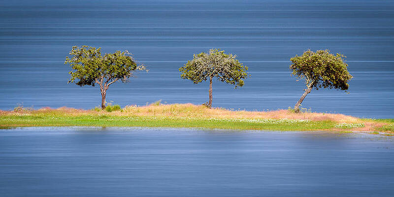 Wall Art - Photograph - The Power of Three by Mark Rogers