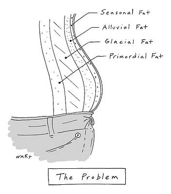 Wall Art - Drawing - The Problem -- A Diagram Of Various Layers Of Fat by Kim Warp