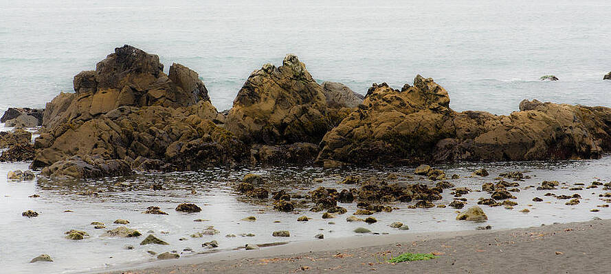 The Rocky Coast by Sabrina Hall The Rocky Coast by Sabrina Hall